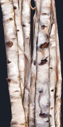 Framed Birch Tree III Print