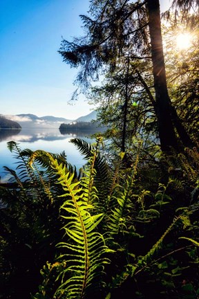 Framed Lake Side View Print