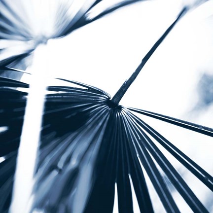 Framed Among Blue Palms II Print