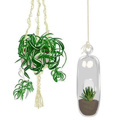 Framed Hanging Plant Set II Print