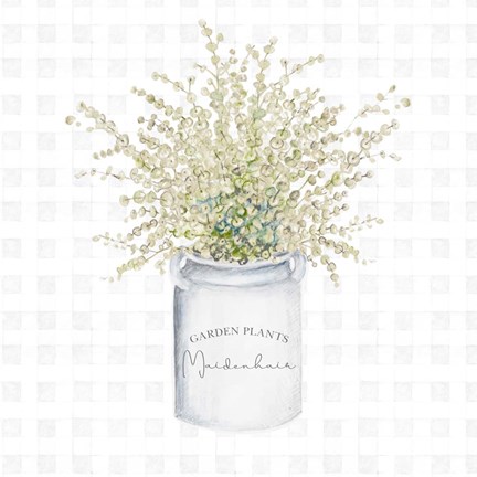 Framed Garden Plants II Print