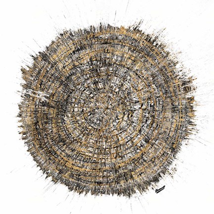 Framed Mysterious Tree Ring Print