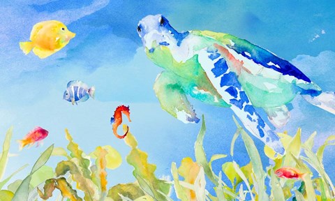 Framed Daily Swims Print