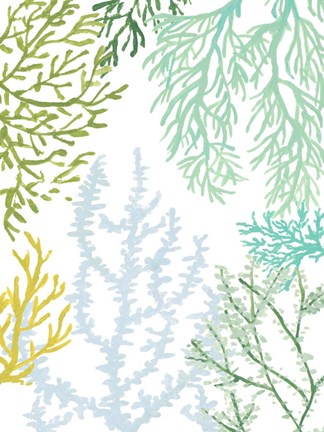 Framed Budding Vertical Coral II Print