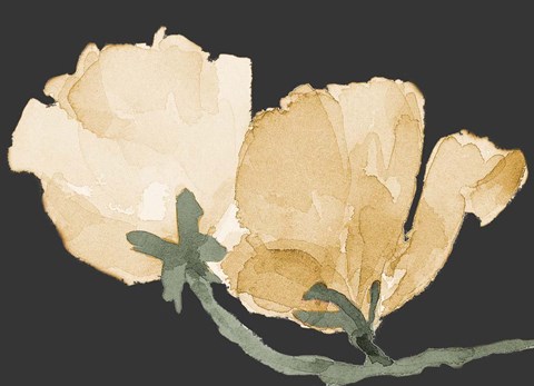 Framed Sweet Peas Print