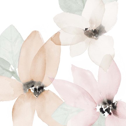 Framed Blooming Whispers  Close-Up I Print