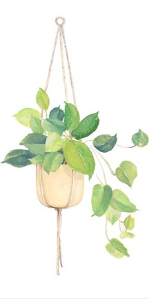 Framed Hanging Pathos Print