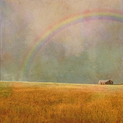 Framed After The Rain Rainbow Print