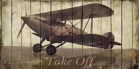 Framed Take Off Print