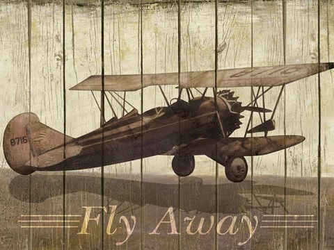 Framed Fly Away Print