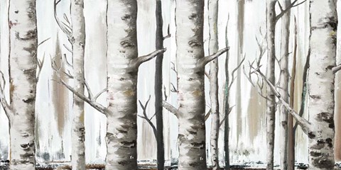 Framed White Birch Forest Print