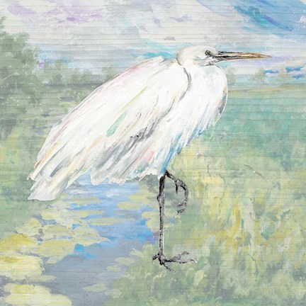 Framed Wild Egret Print