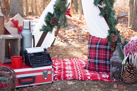 Framed Holiday Picnics Print