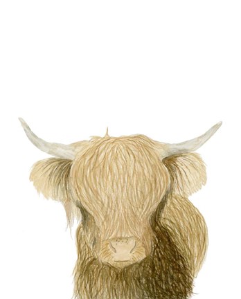 Framed Highland Cattle Print