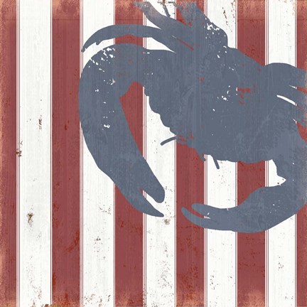 Framed American Coastal I Print