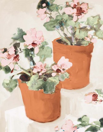 Framed Potted Pink Geraniums Print