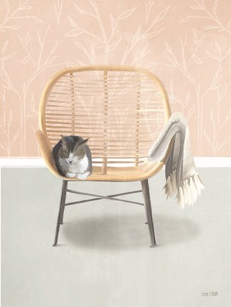 Framed Nap Time Gray and White Cat Print