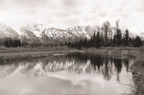 Framed Tetons at Schwabachers Landing Print