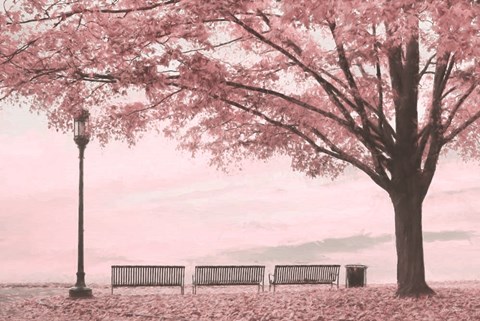 Framed Moody Pink Day in the Park Print