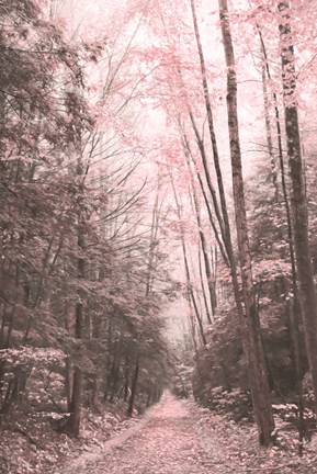 Framed Pink Forest Print