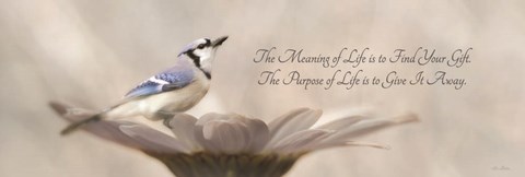 Framed Meaning of Life Print