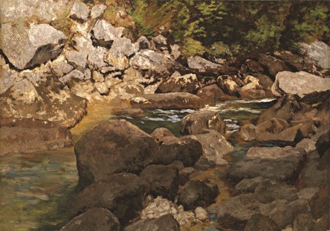 Framed Shapes of Nature Print