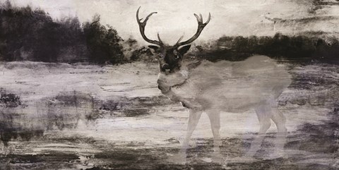 Framed Bull in Forest 2 Print