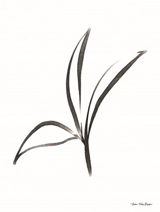 Framed Black Botanical Watercolor Print