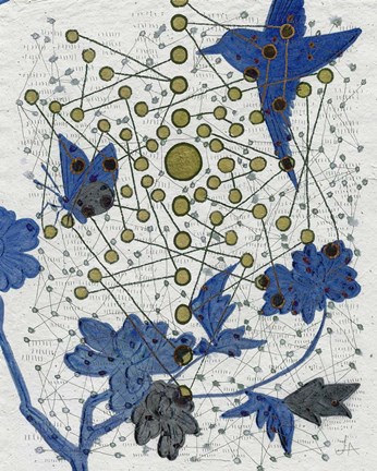 Framed Chakra Web with Bird Print