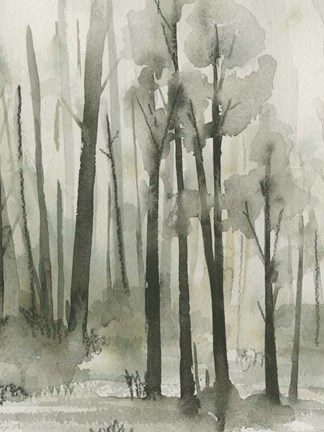 Framed Into the Woods III Print