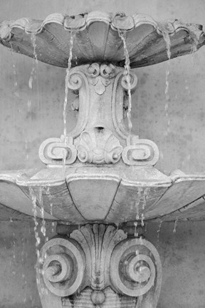 Framed Black &amp; White Fountains II Print