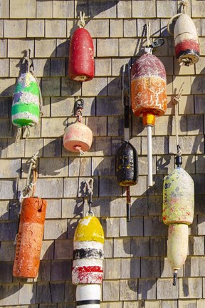 Framed Coastal Trappings I Print