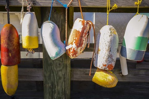 Framed Coastal Trappings III Print