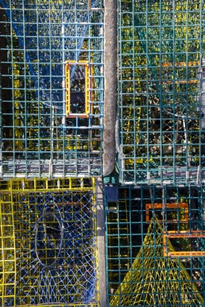 Framed Coastal Trappings V Print