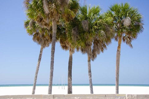 Framed Coastal Palms I Print