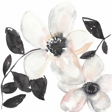 Framed Black &amp; Blush Anemone I Print