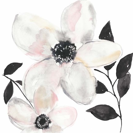 Framed Black &amp; Blush Anemone II Print