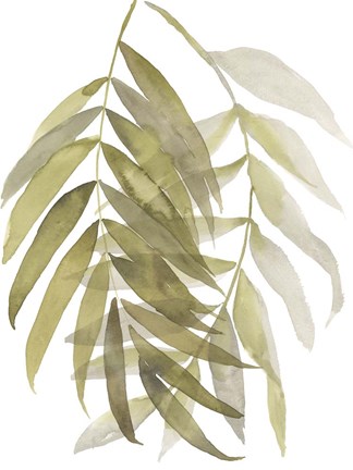 Framed Palm Embrace II Print