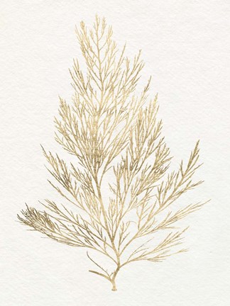 Framed Gilded Algae V Print