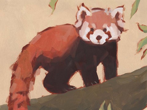 Framed Red Panda I Print
