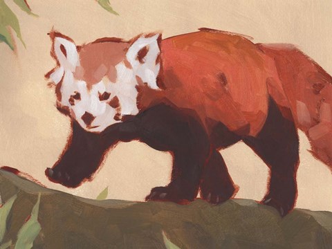 Framed Red Panda II Print