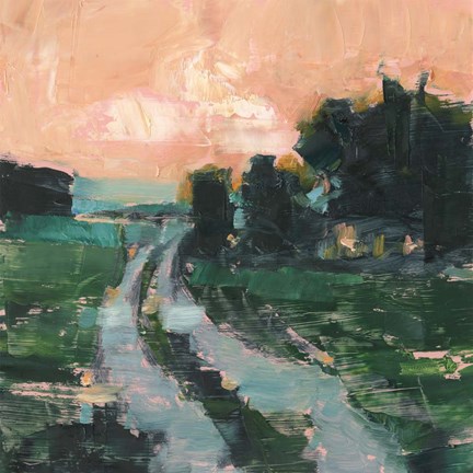 Framed Coral Sunset II Print