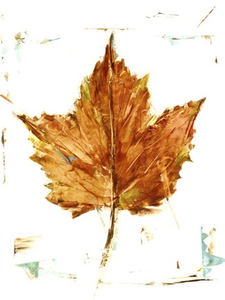 Framed Autumn Leaf Study I Print