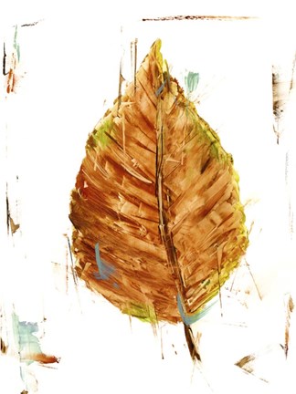 Framed Autumn Leaf Study III Print