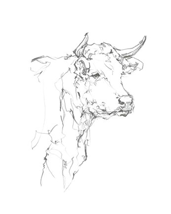 Framed Bovine Quick Study I Print