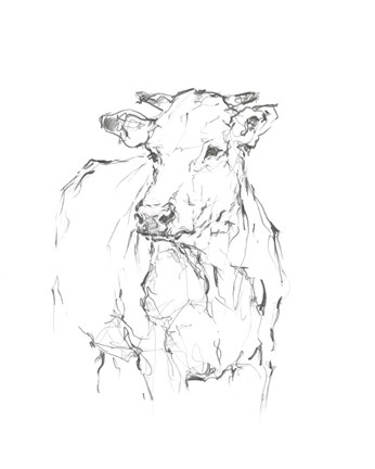 Framed Bovine Quick Study II Print
