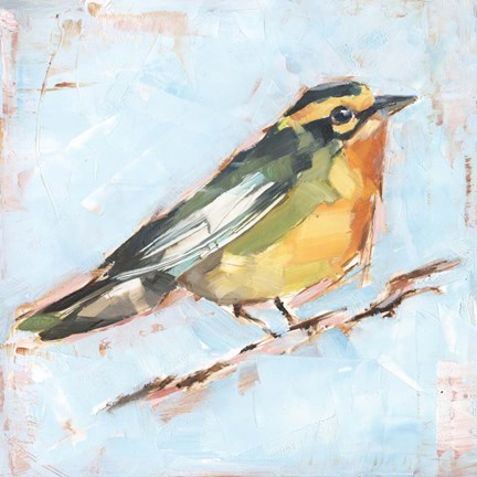 Framed Bird Variety IV Print