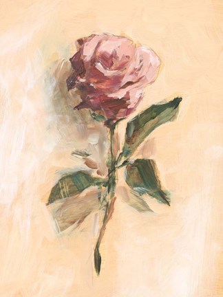 Framed Painterly Rose Study II Print