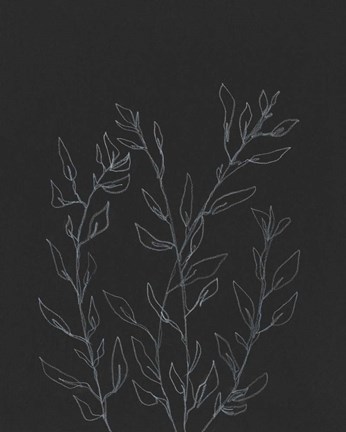 Framed Simple Stalk I Print