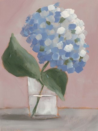 Framed Single Hydrangea II Print